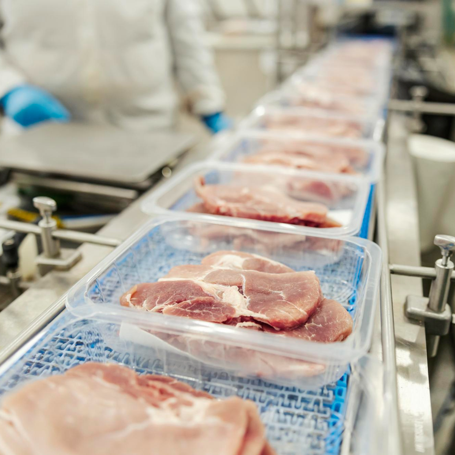 Factory packaging meat into plastic boxes